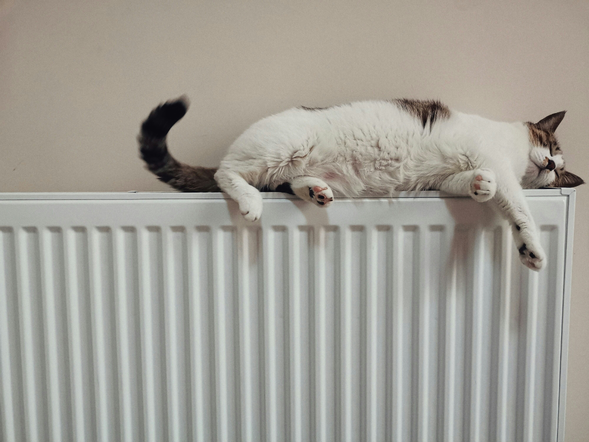 Warm home, cosy heating done right